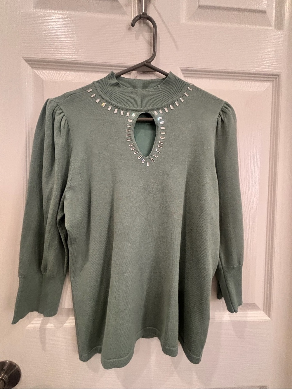 Embellished Keyhole Knit Top in Sage Green